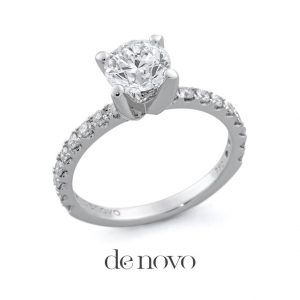 Denovo Diaries: Crystallizing A Brand With Passion